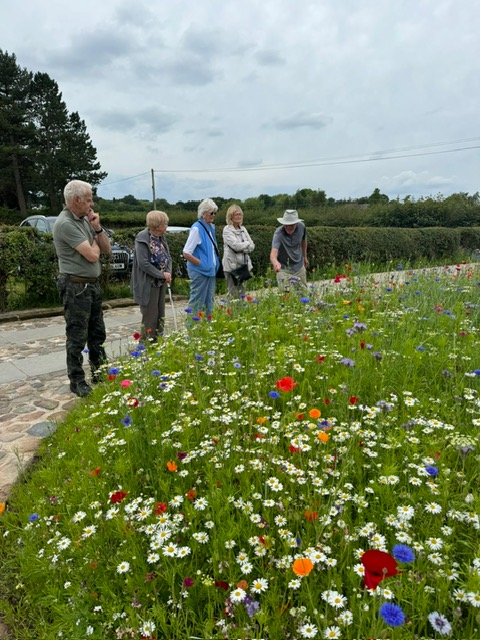 Norley Bank Farm July24 Norley Bank Farm July24