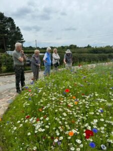 Norley Bank Farm July24 Norley Bank Farm July24