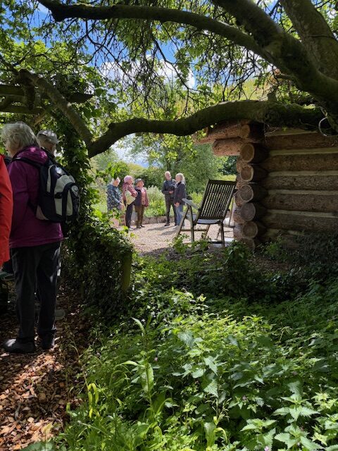 Jacqueline Iddon's Garden JIddon2