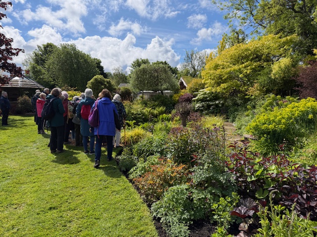 Jacqueline Iddon's Garden JIddon3
